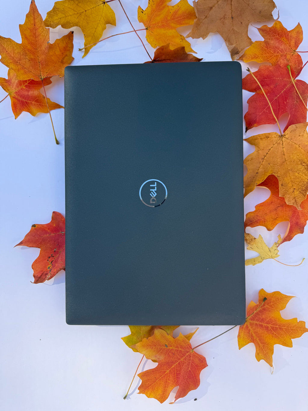 Dell Latitude 3420 – 14″ FHD | Intel Core i5-1135G7 | 8GB RAM | 256GB SSD | Windows 11 Pro | Refurbished